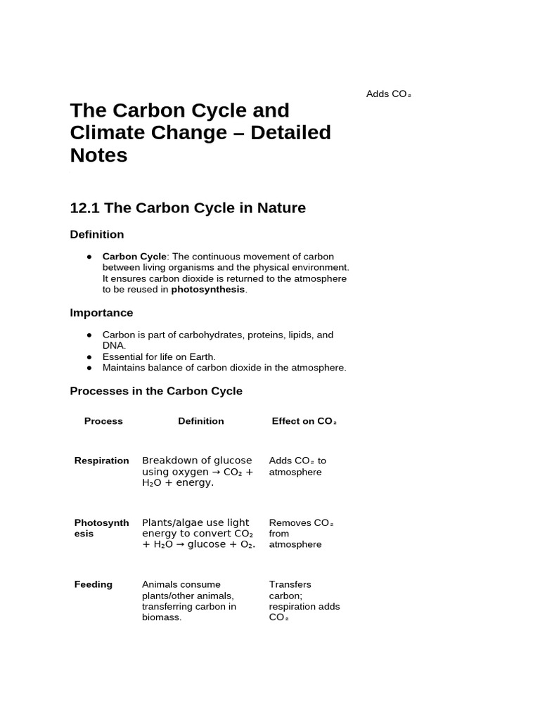 The Carbon Cycle and Climate Change | PDF | Climate Change | Carbon Dioxide