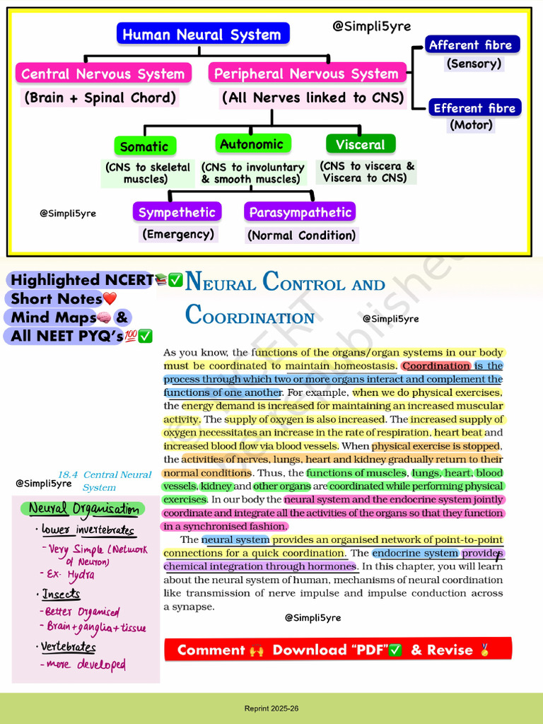 Neural Control & Coordination Simpli5yre | PDF
