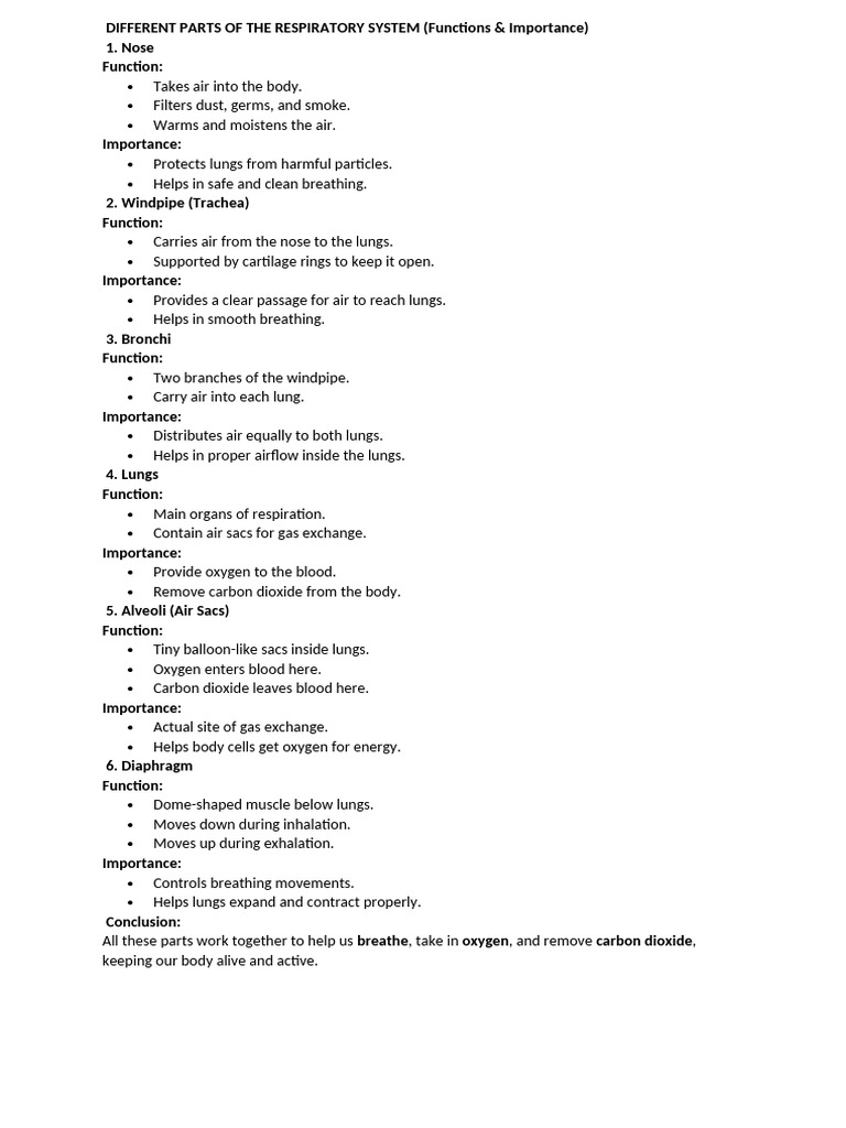 Different Parts of The Respiratory System . | PDF