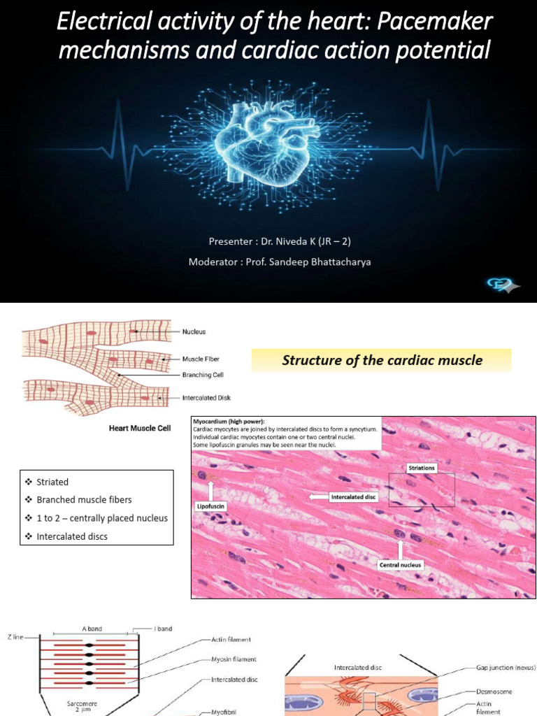 Electrical Activity of Heart | PDF