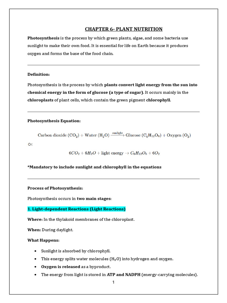 Grade 9 Chapter 6 - Plant Nutrition | PDF | Photosynthesis | Stoma