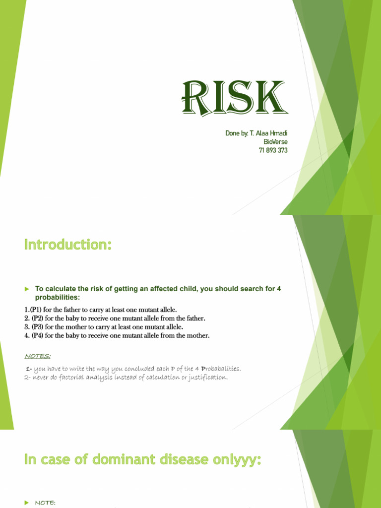 Risk | PDF