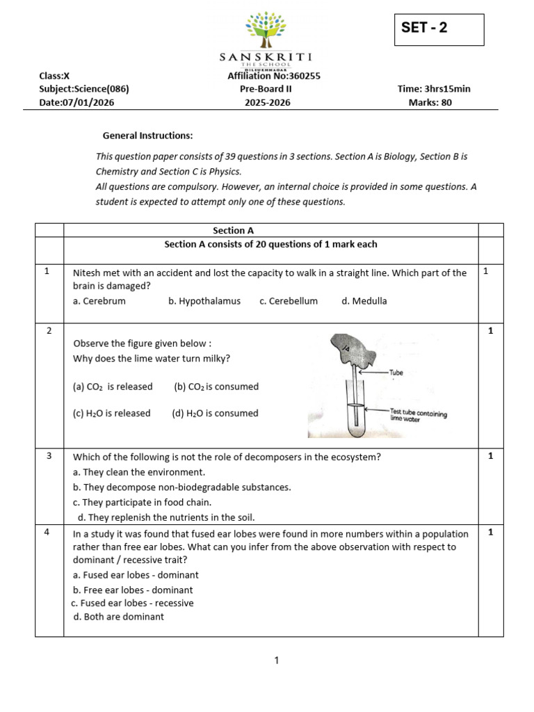 Grade X Science PB II QP Set 2 | PDF | Chemical Compounds | Chemical ...