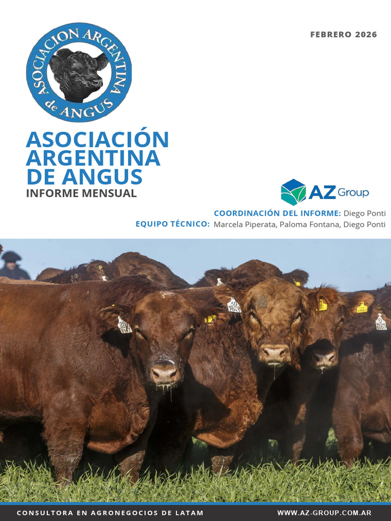 Informe Mensual Angus - Febrero 2026 | PDF | Economias