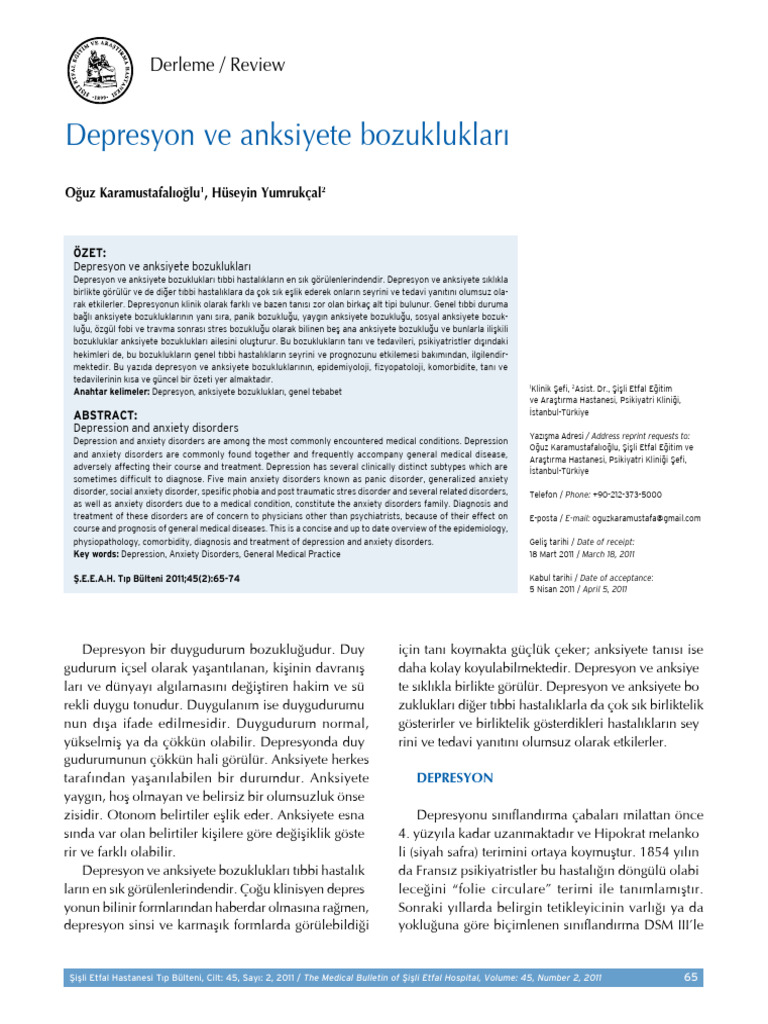Setb 14622 Review Article Karamustafalioglu | PDF