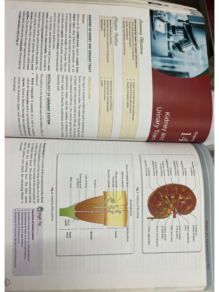Patho 2, Genetics | PDF