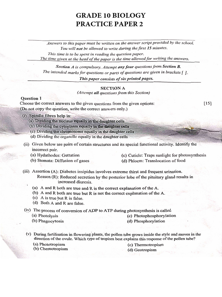 Practice Paper 2 | PDF