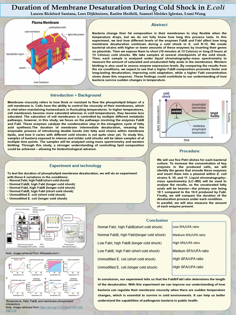 Duration of Membrane Desaturation During Cold Shock in E.coli | PDF ...