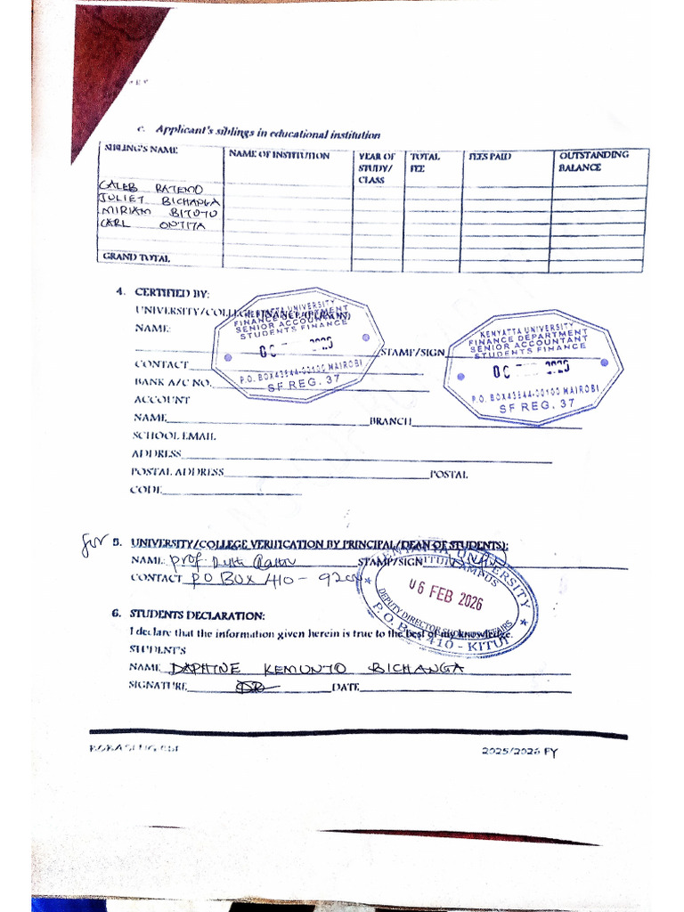 Bursary Form Bobasi | PDF