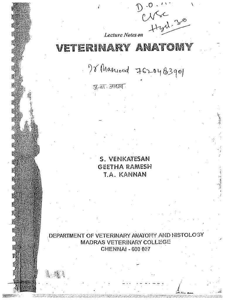 Veterinary Anatomy Chennai Notes - 241223 - 132751 | PDF