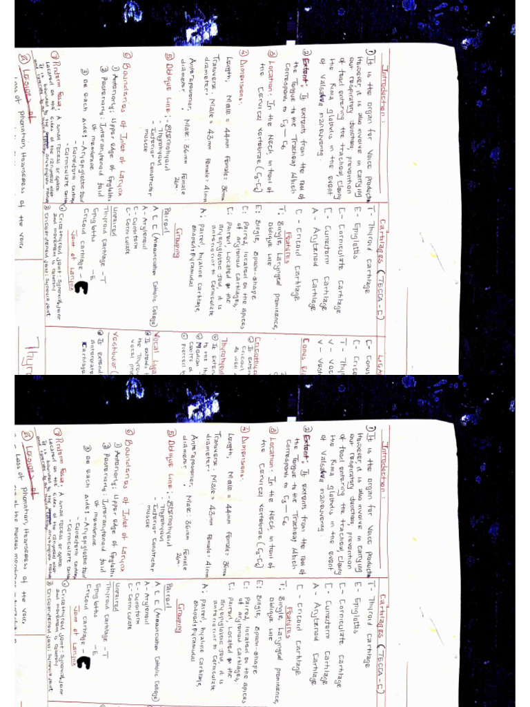 Document of physiology | PDF