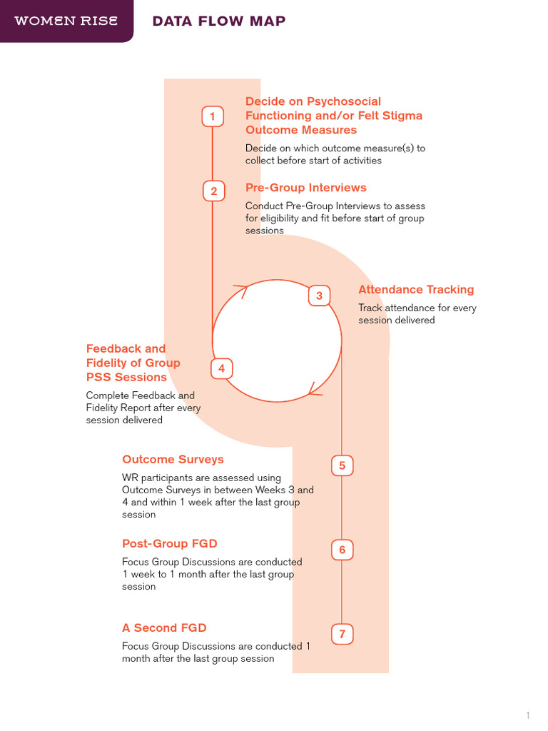 Women Rise Data Flow Map Handout | PDF | Information Science | Computing