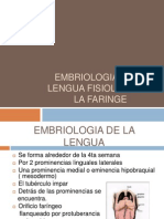 Embriologia de La Lengua Fisiologia de La Faringe