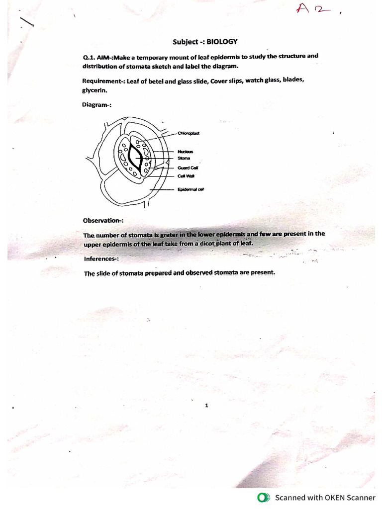 Bio A | PDF