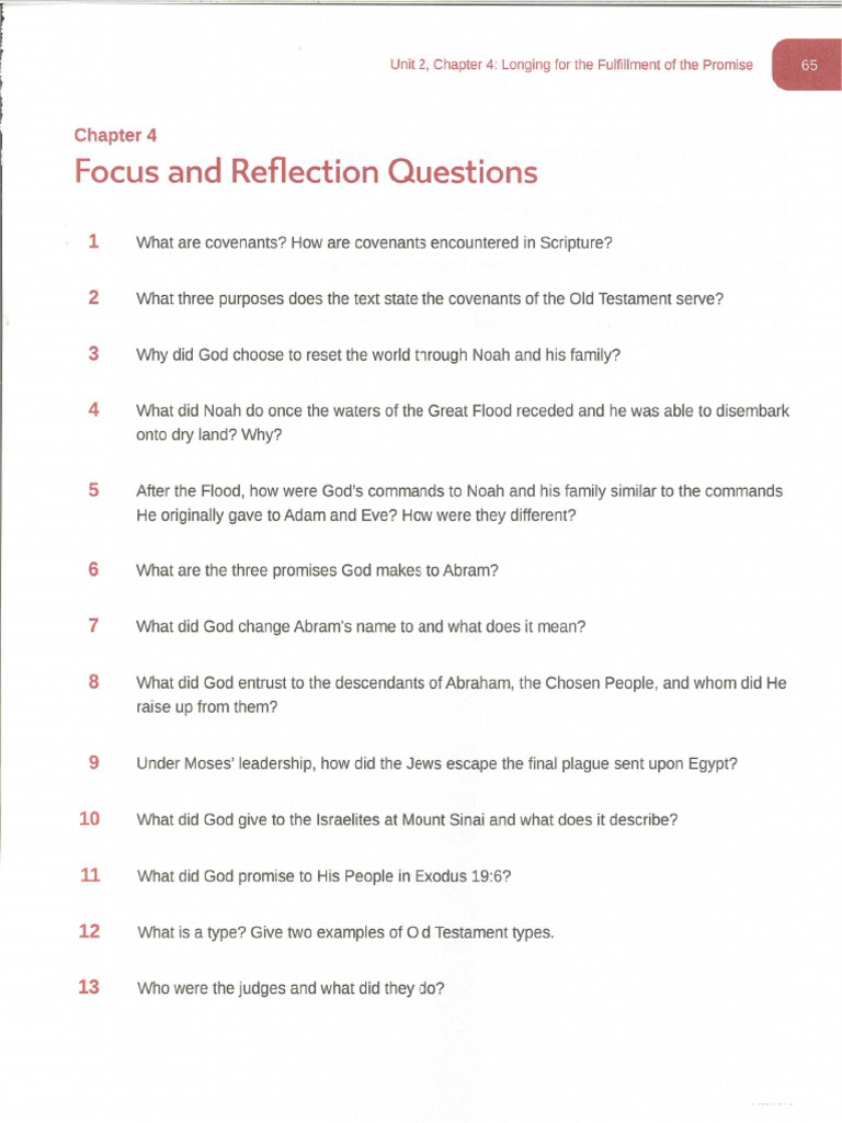 Chapter 4 Focus and Reflection Questions | PDF