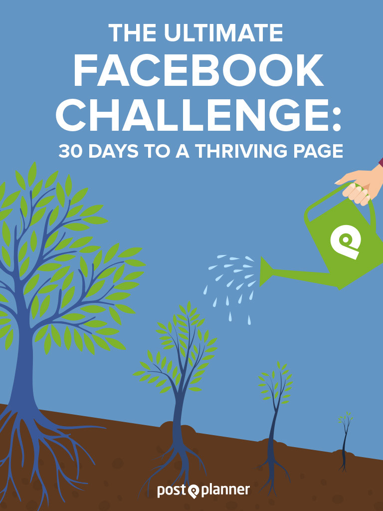 The Ultimate Facebook Challenge - 30 Days to a Thriving Page | PDF ...