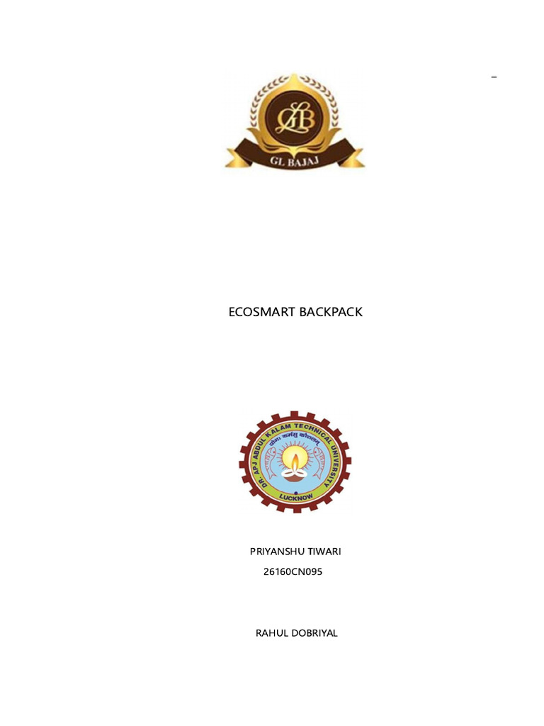 Mini Project 1 Format 2025-26 For Itm | PDF