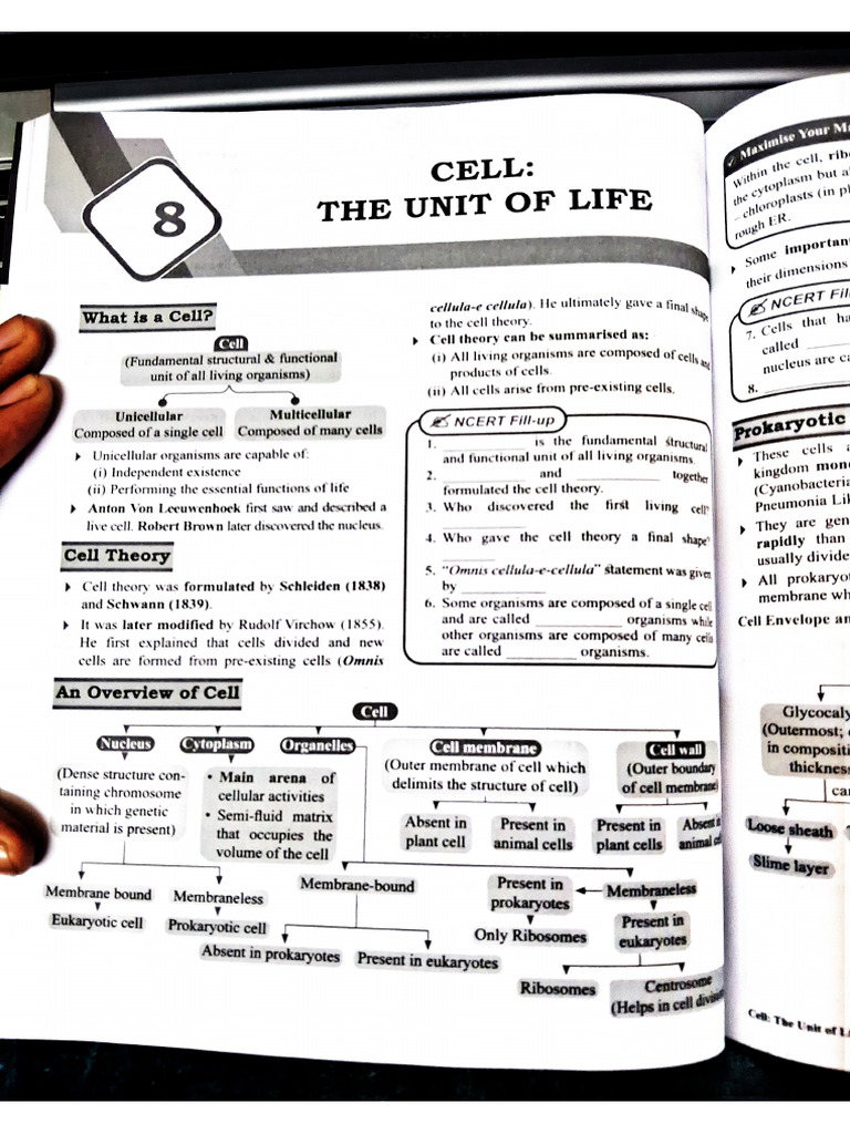 Mission 100 Cell the Unit of Life | PDF