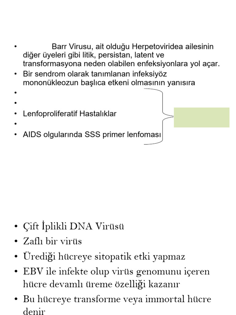 EBV Infeksiyonları | PDF