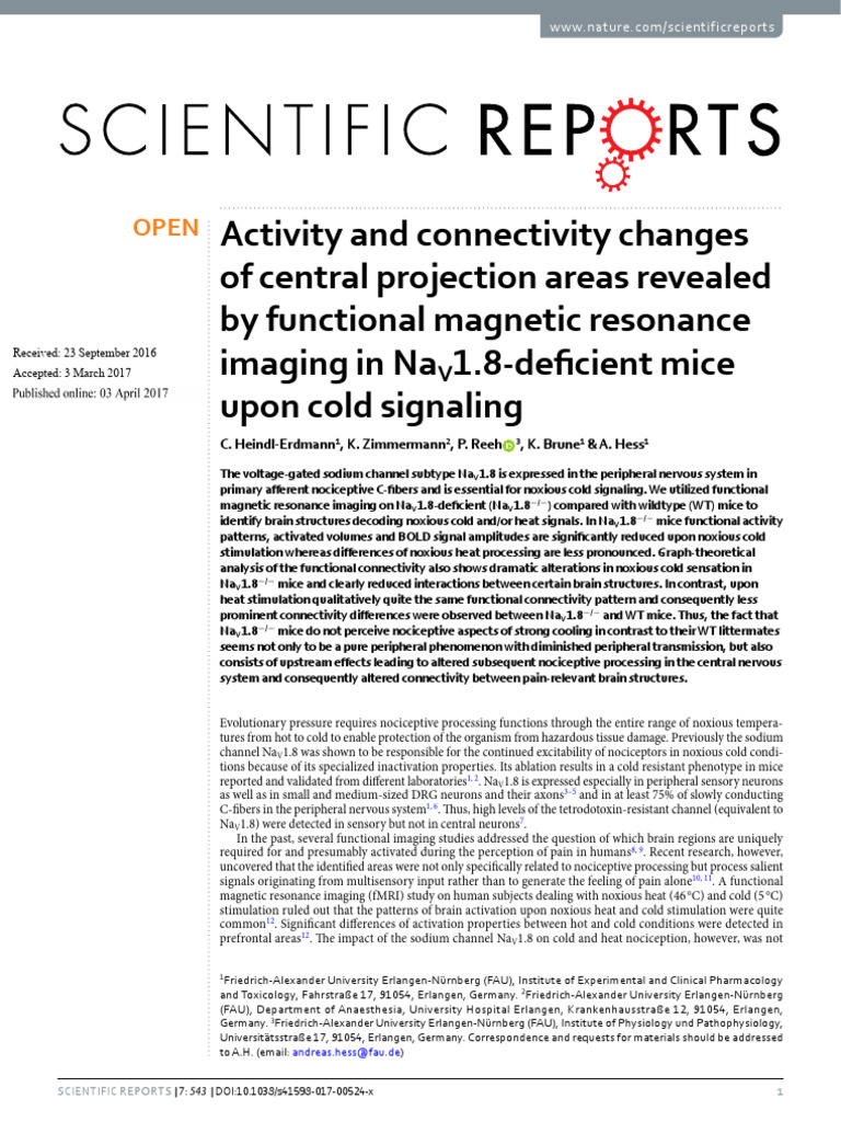 Activity and Connectivity Changes of Central Projection Areas Revealed ...