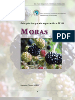 Nicaragua. Guía Práctica para La Exportación de Moras