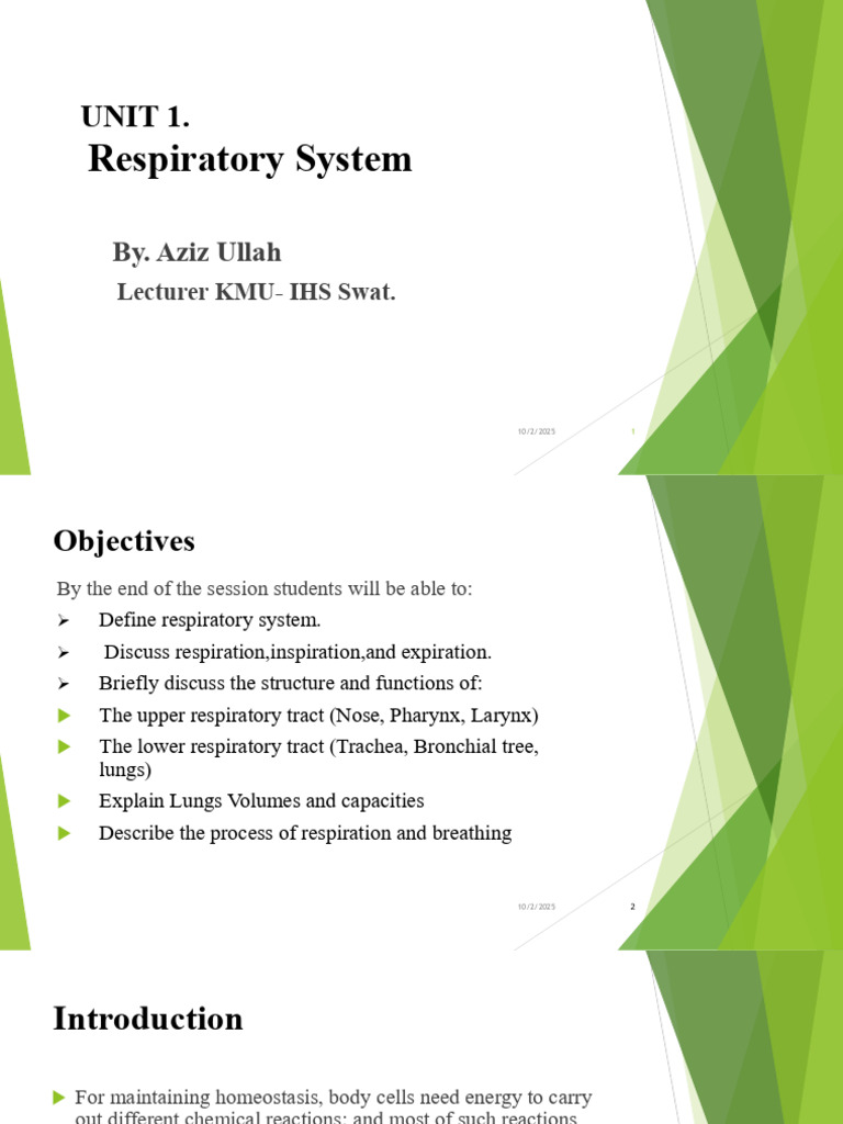 Respiratory System - Aziz Unit 1 | PDF | Lung | Respiratory Tract