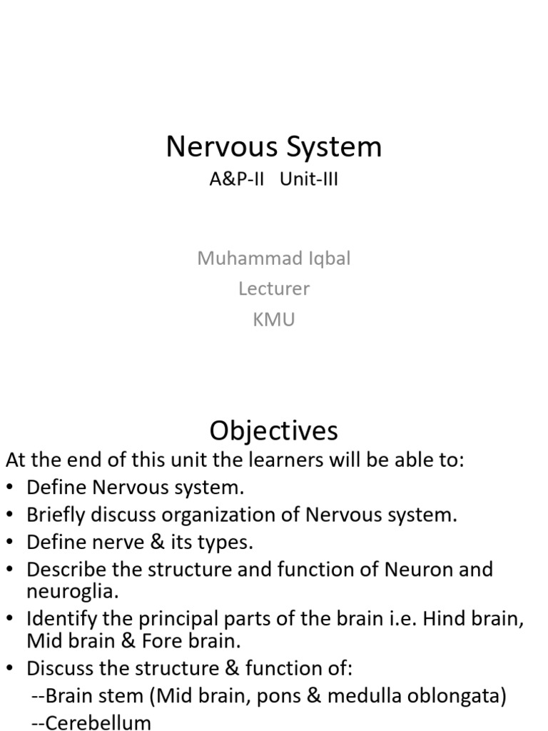 Nervous System Unit-III | PDF | Cerebrospinal Fluid | Central Nervous ...