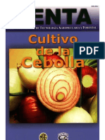 2003. CENTA. Guía Técnica del Cultivo de Cebolla