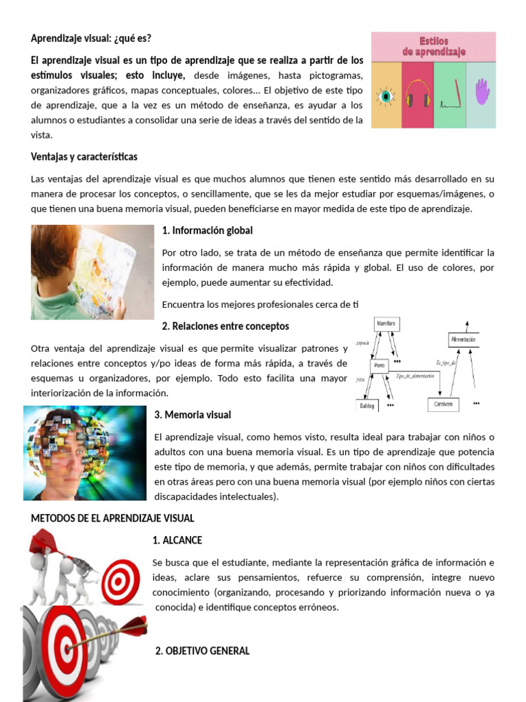 Aprendizaje Visual | PDF | Aprendizaje | Ciencia cognitiva
