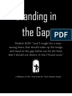 Standing in The Gap - Edition 1