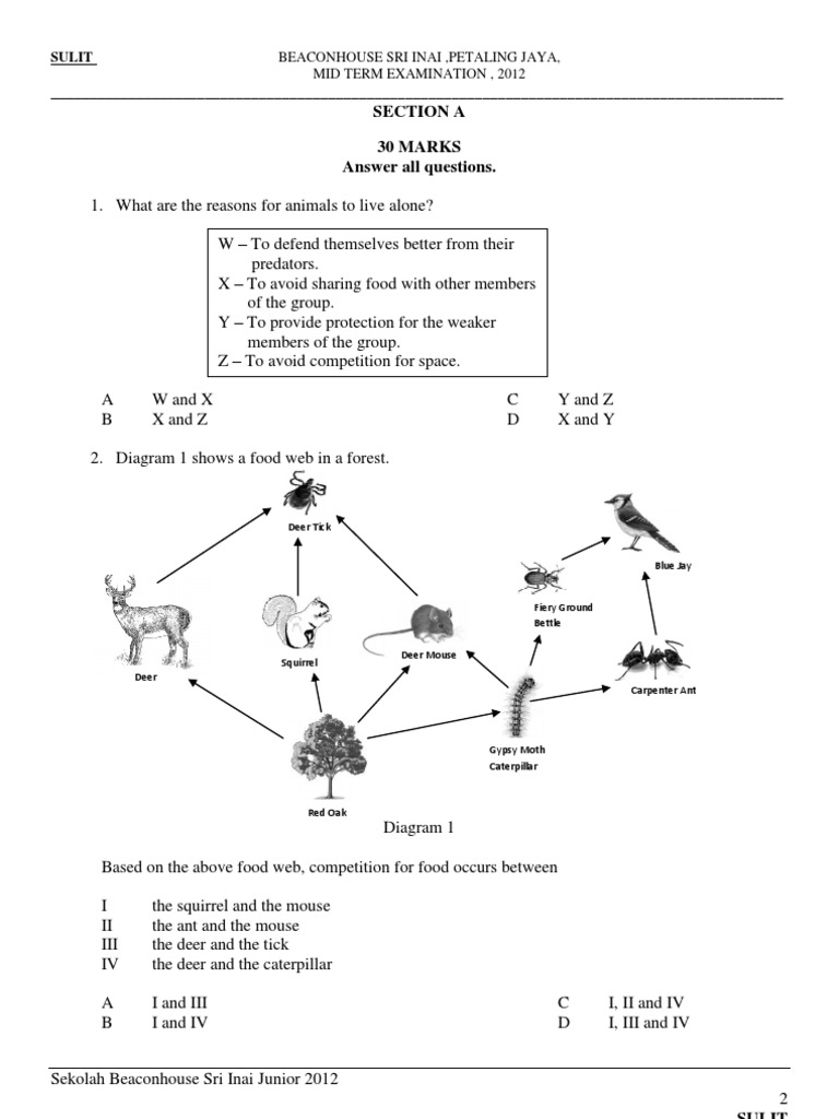 Section A 30 Marks Answer All Questions. Beaconhouse Sri Inai