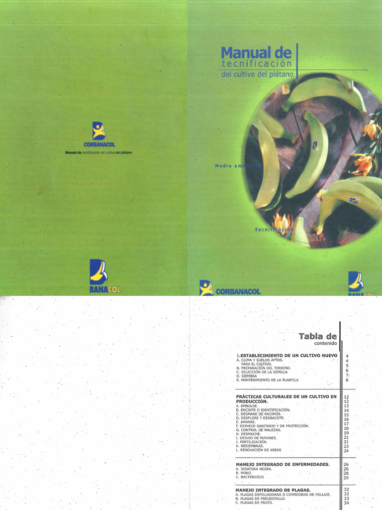 Manual de Tecnificación Del Cultivo de Plátano. Banacol | PDF ...