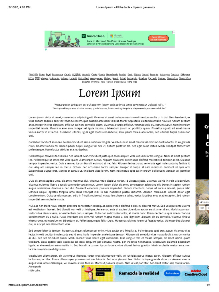 Lorem Ipsum | PDF