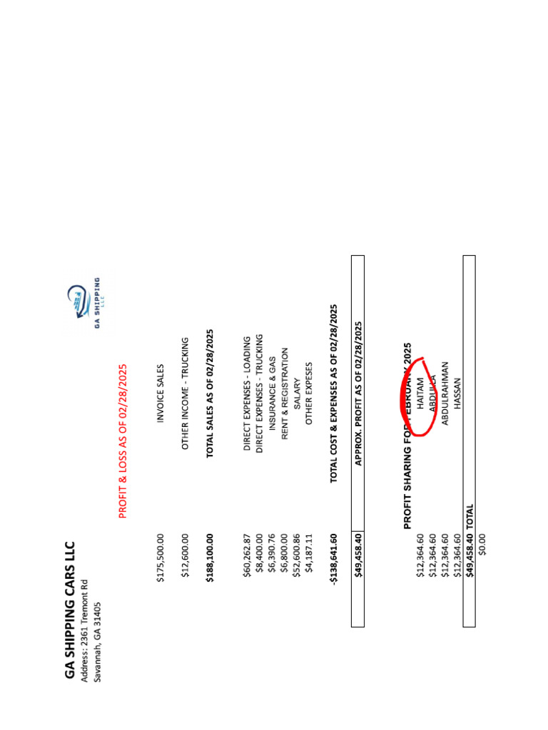 Ga Profit & Loss Feb 2025 | PDF