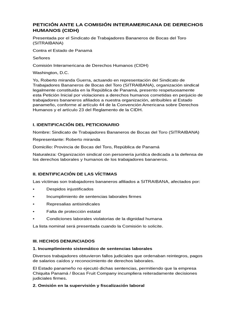 Petición Ante La Comisión Interamericana de Derechos Humanos | PDF ...
