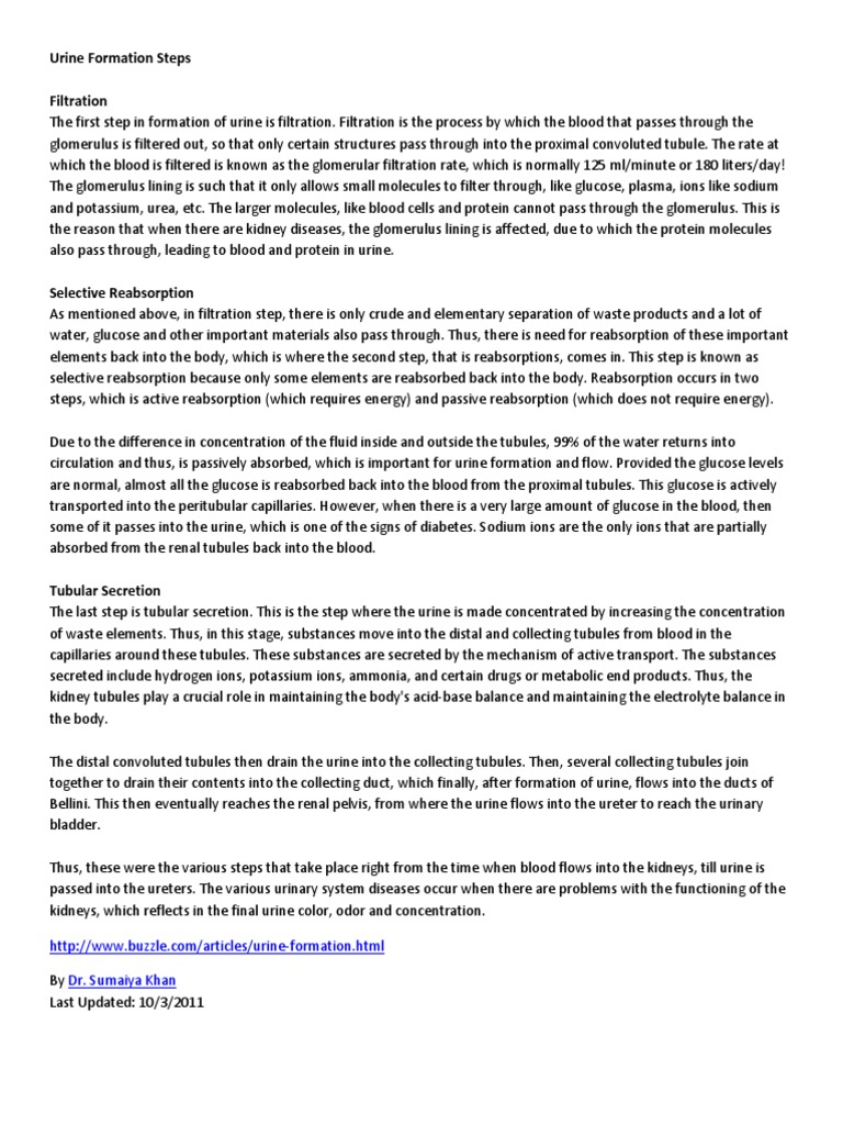 Urine formation pdf image