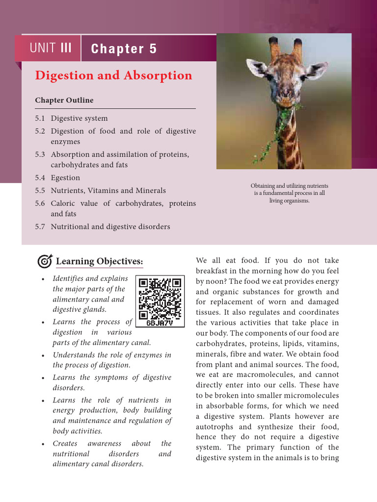 TN Board Class 11 Zoology Vol 1 EM | PDF | Stomach | Digestion