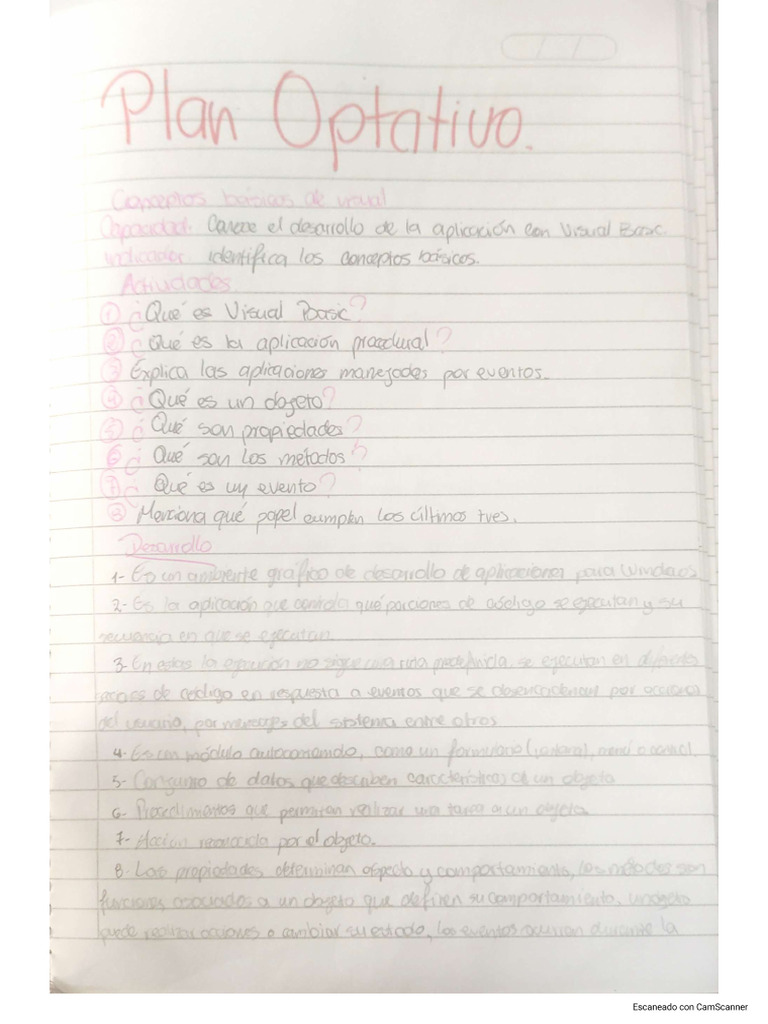 Conceptos Básicos de Visual Basic PLAN OPTATIVO | PDF