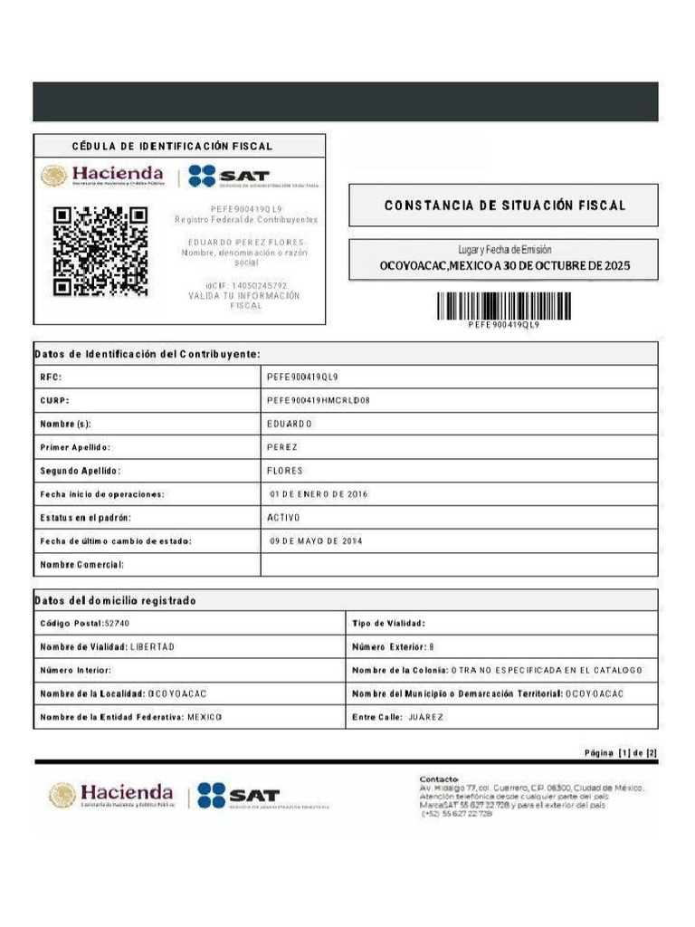 Constancia Situación Fiscal | PDF