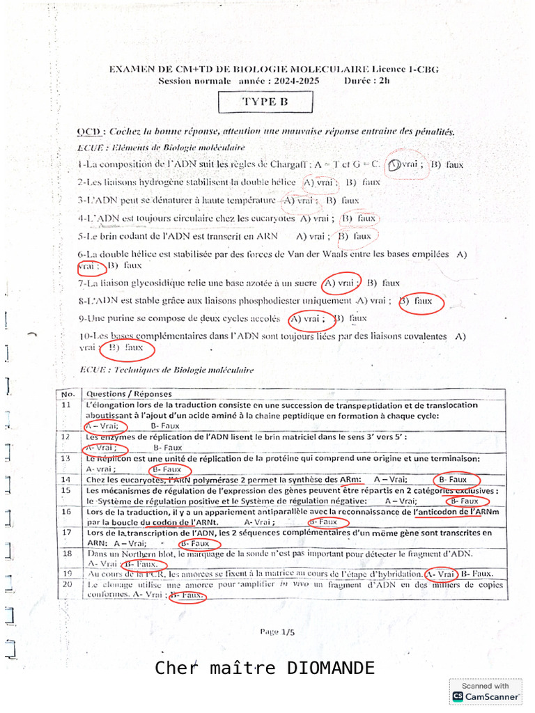 Bio Mol Type B S1 24-25 | PDF