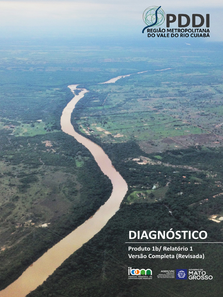PDDI Diagnóstico | PDF | Cidade | Economia
