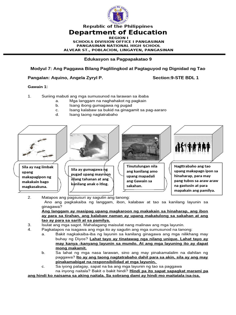 Performance Tasks No.3 and 4 | PDF