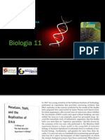 BG 7 - Replicação do  DNA