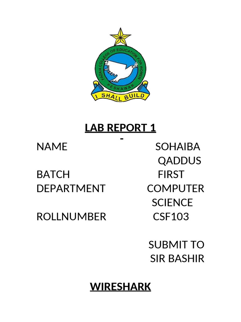 Lab Report 1 | PDF
