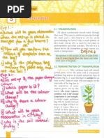 Potometer Practical for GCSE Biology | PDF | Botany | Plants