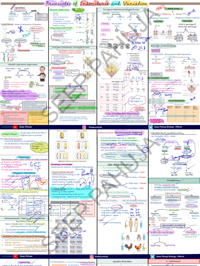 Genetics Mind Maps by Seep Pahuja - Watermark | PDF | Dominance ...