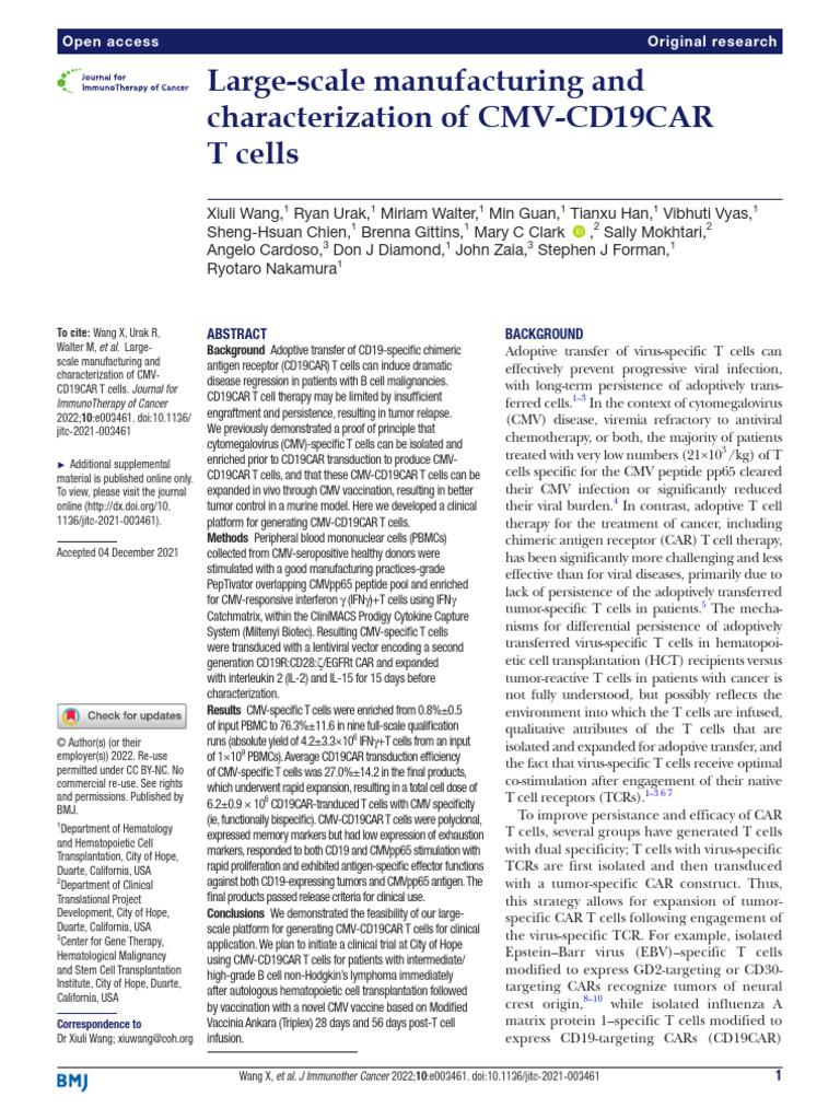 Large-Scale Manufacturing and Characterization of CMV-CD19 CAR T Cells ...
