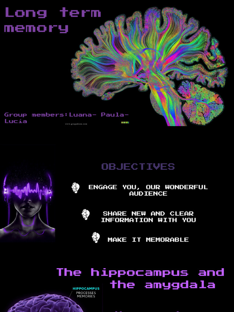 Long Term Memory | PDF