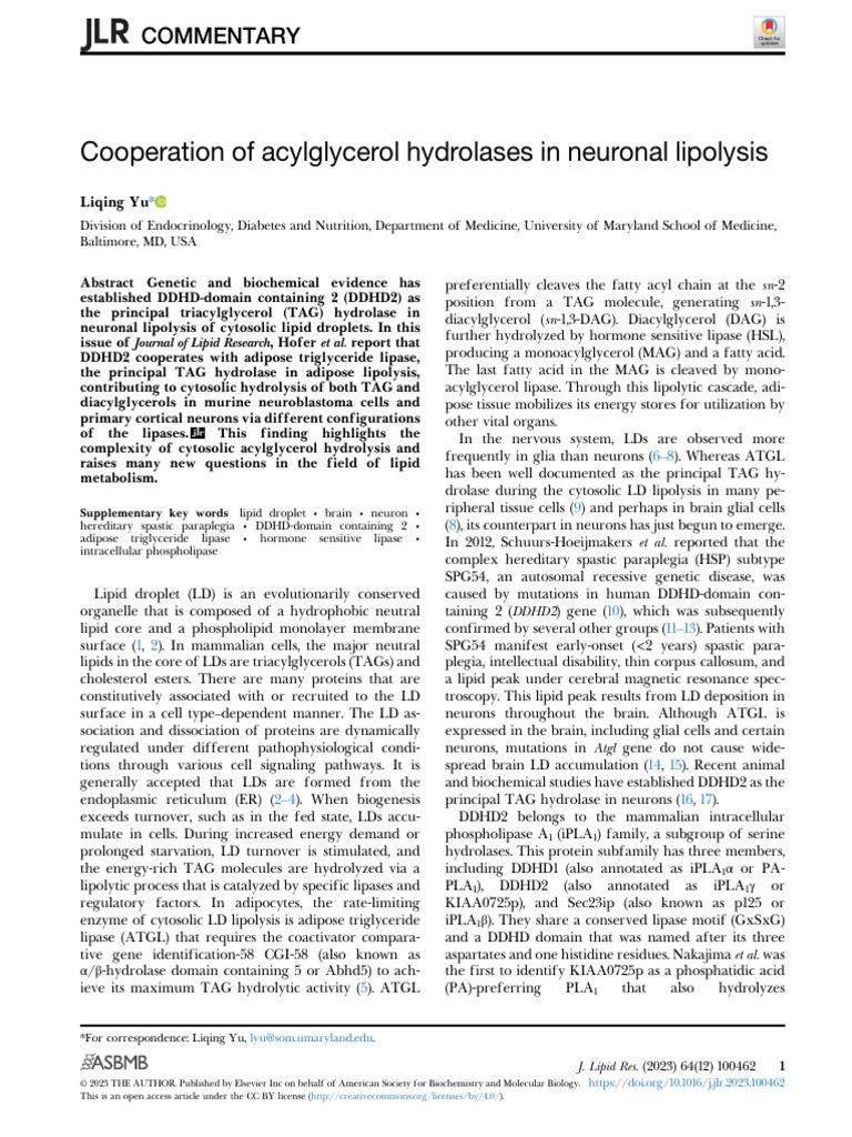 Cooperation of Acylglycerol Hydrolases in Neuronal | PDF | Lipid | Cell ...