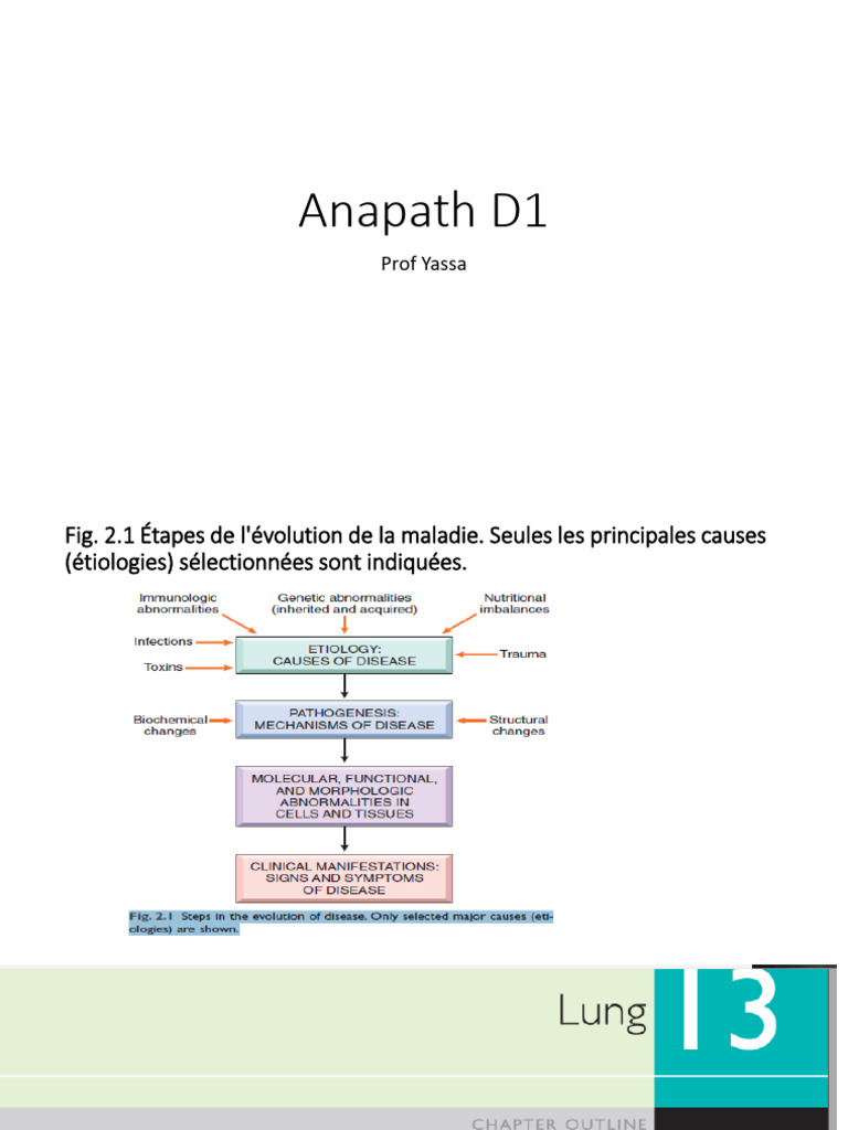 Anapath D1 2022 | PDF | Tuberculose | Asthme